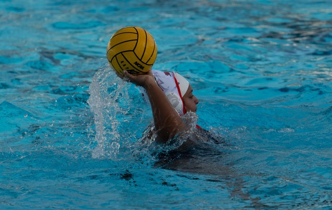 Water Polo Drops Two Games on Opening Day of Tina Finali Memorial Tournament